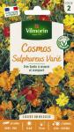 Fleurs - Cosmos Sulphureus Varié - PACKAGING_RECTO